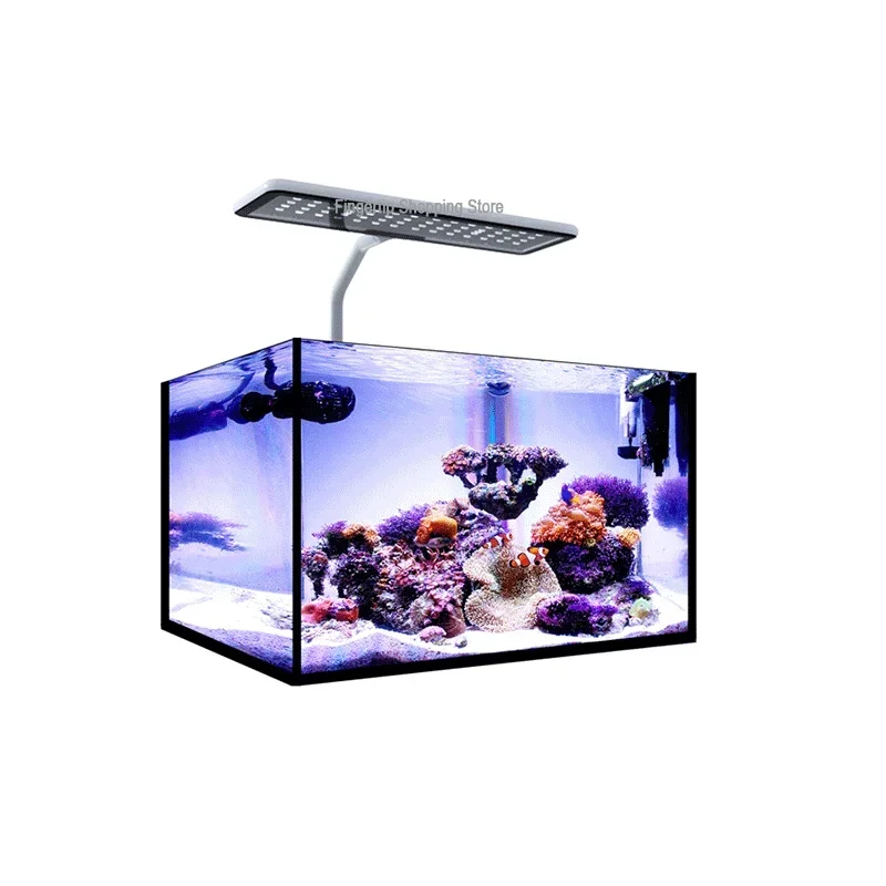 MicMol G2 Aqua CC Unboxing Aqu - đánh giá và giá Aqua Marine Tank