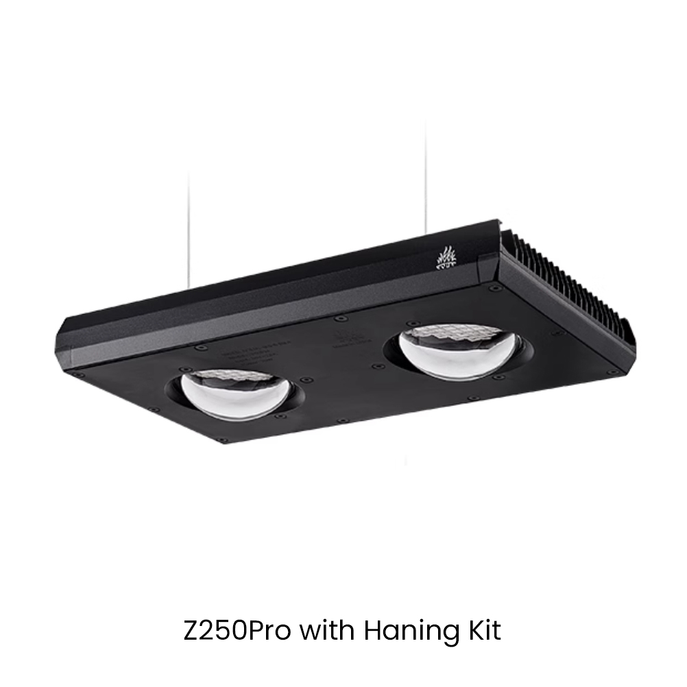 Week AQUA Z250/Z400 Sea LED Re - đánh giá và giá Aqua Marine Tank