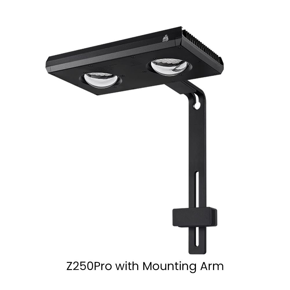 Week AQUA Z250/Z400 Sea LED Re - đánh giá và giá Aqua Marine Tank