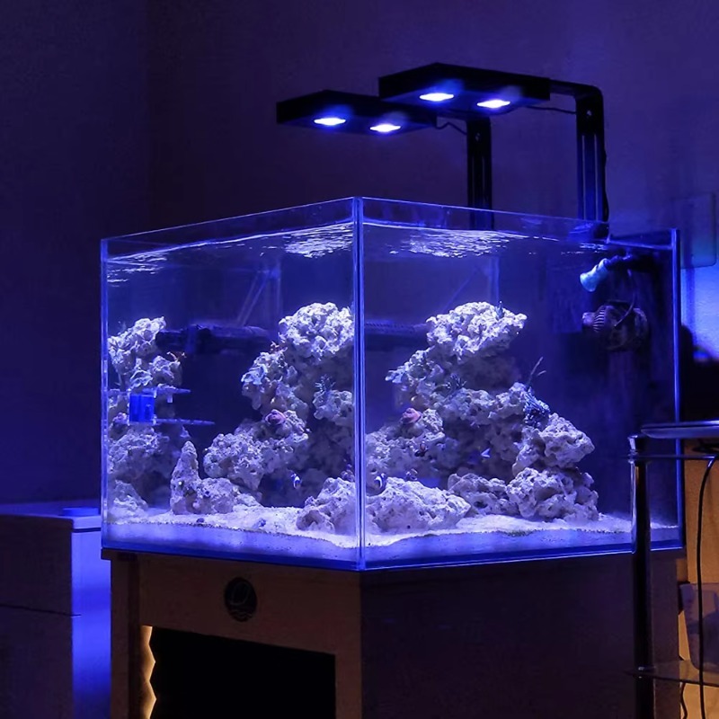 High Power DIY Spectrum 90W G5 - đánh giá và giá Aqua Marine Tank