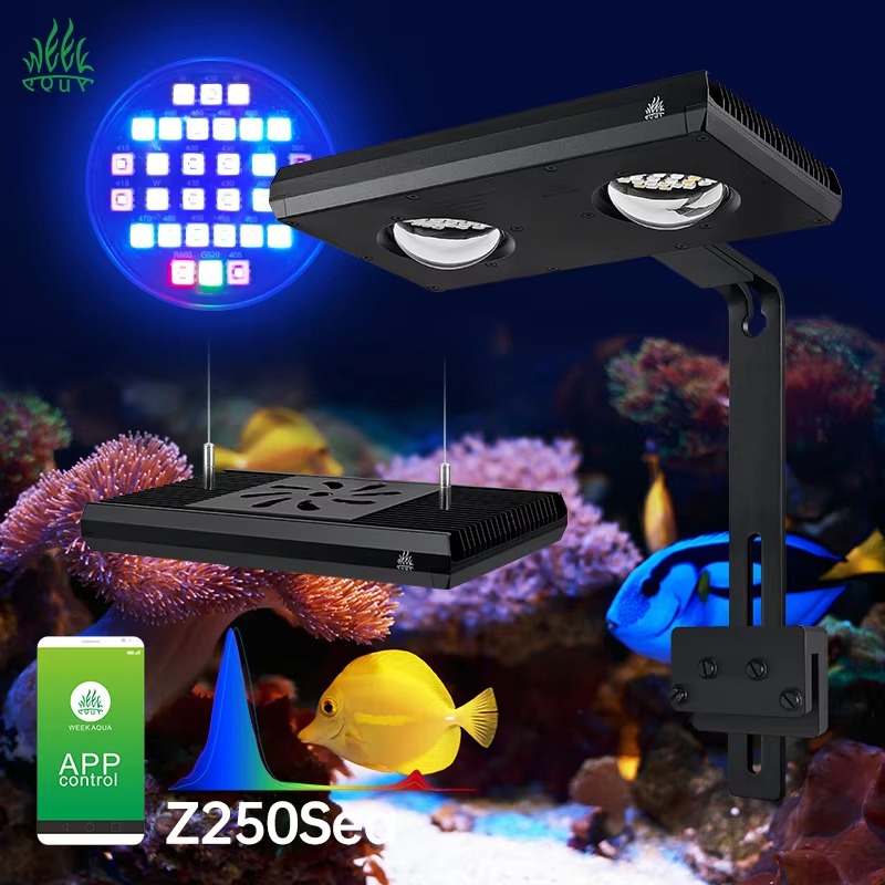 Week AQUA Z250/Z400 Sea LED Re - đánh giá và giá Aqua Marine Tank