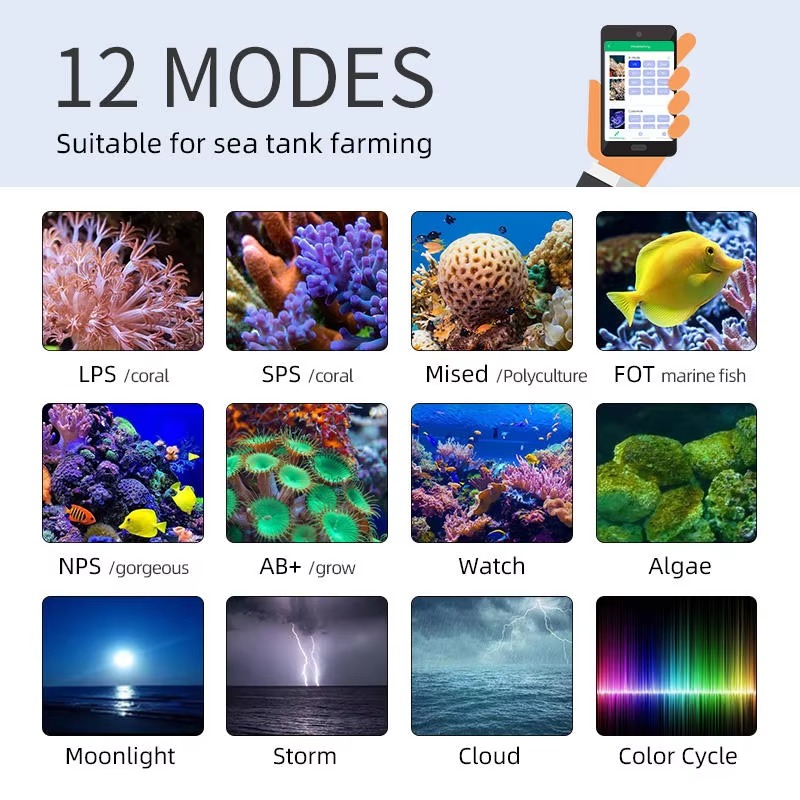 Week AQUA Z250/Z400 Sea LED Re - đánh giá và giá Aqua Marine Tank