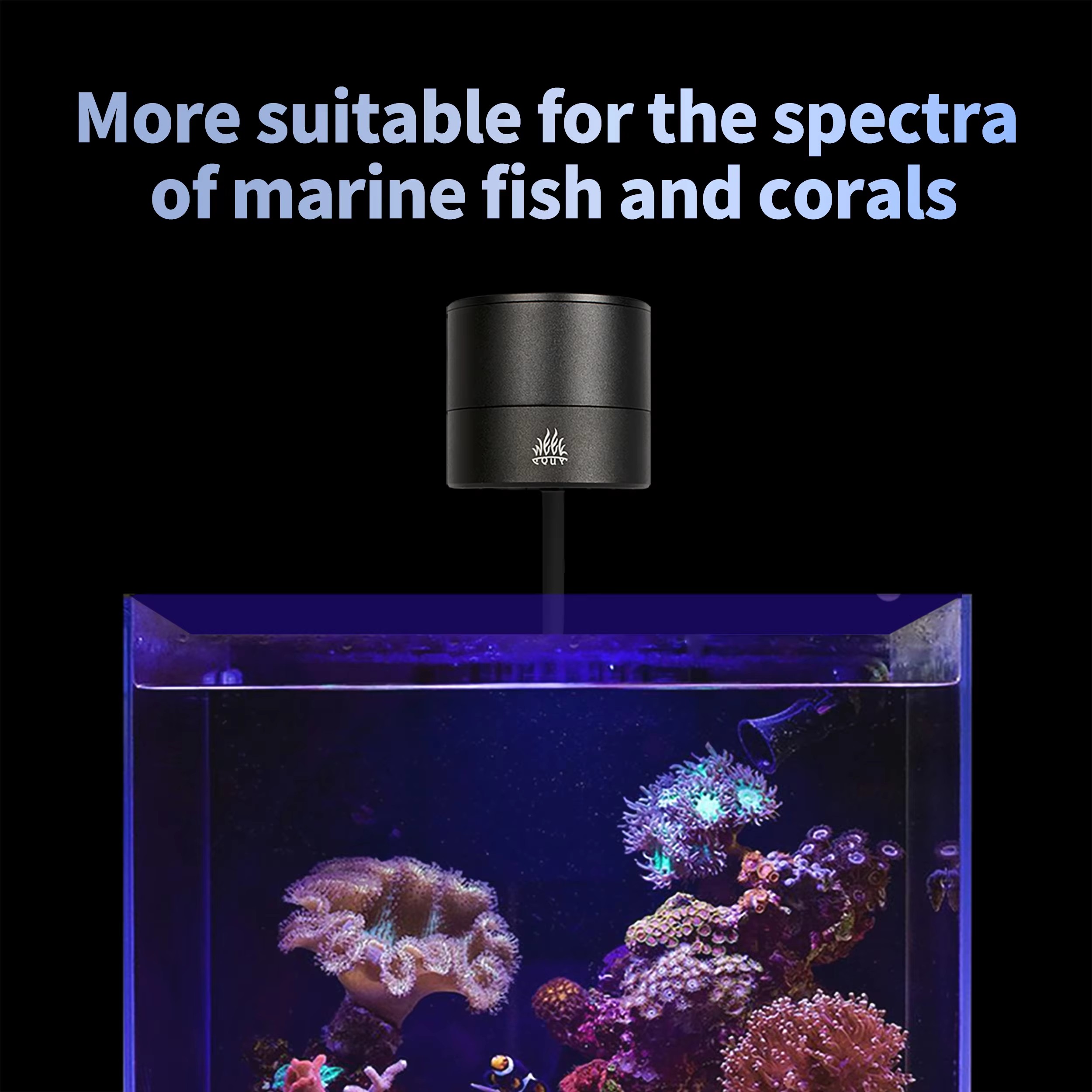 WEEK AQUA Aquarium Light Manuf - đánh giá và giá Aqua Marine Tank