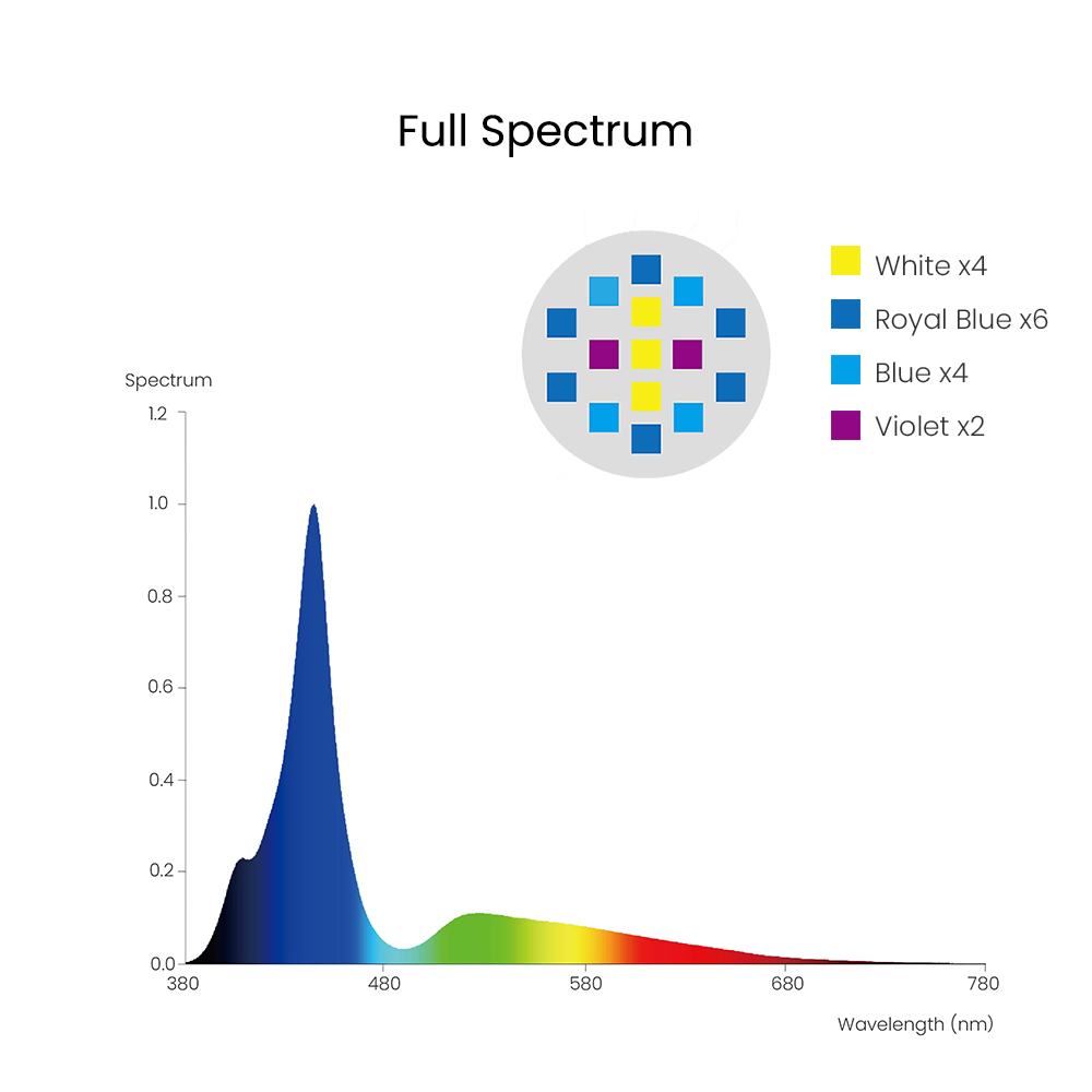 Spectra Aqua Knight V3 75W Pro - đánh giá và giá Aqua Marine Tank