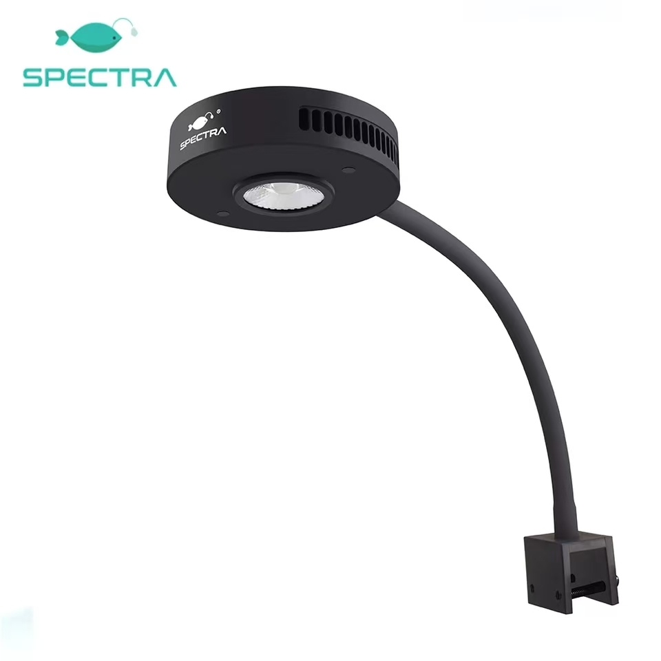 Spectra Aqua Knight V2 36W Ful - đánh giá và giá Aqua Marine Tank