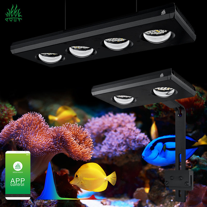 Week Aqua Z250Sea Z400Sea LED  - đánh giá và giá Aqua Marine Tank