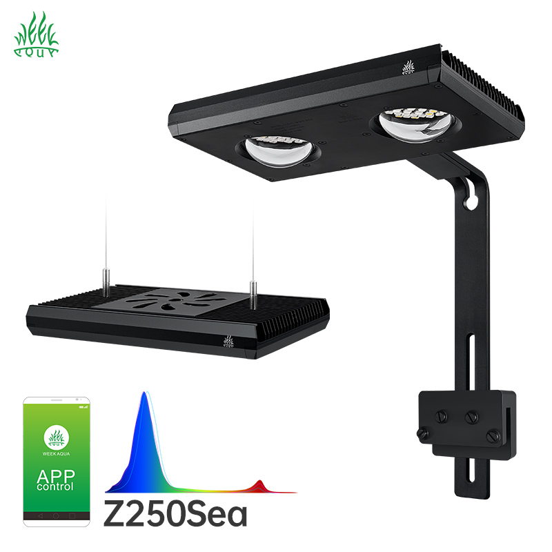 Week Aqua Z250Sea Z400Sea LED  - đánh giá và giá Aqua Marine Tank