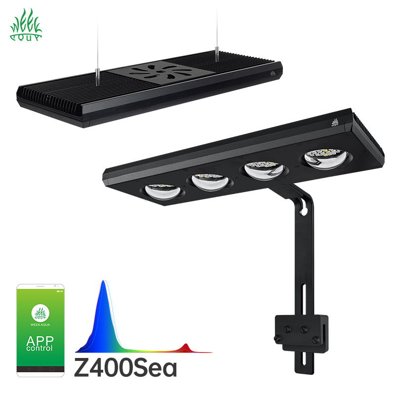 Week Aqua Z250Sea Z400Sea LED  - đánh giá và giá Aqua Marine Tank