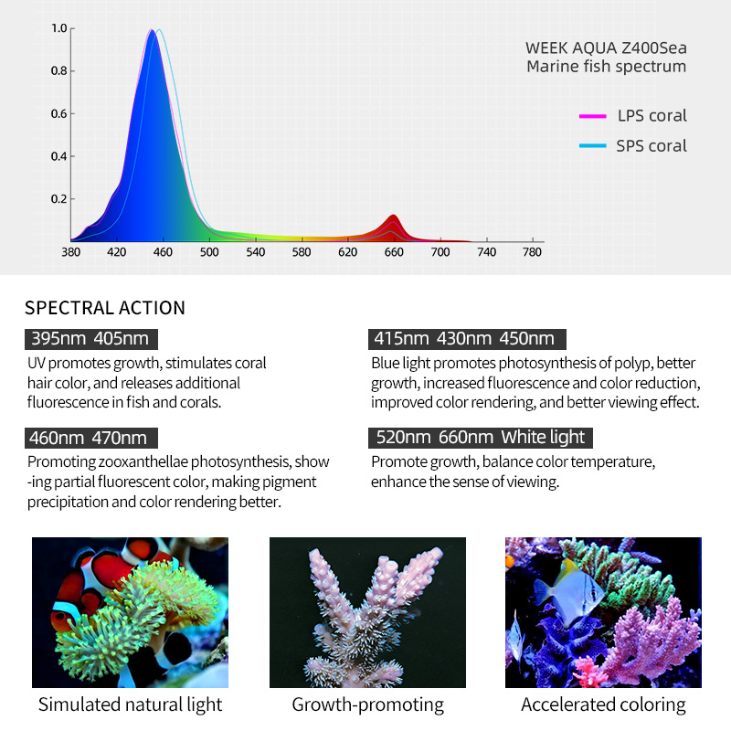 Week Aqua Z250Sea Z400Sea LED  - đánh giá và giá Aqua Marine Tank
