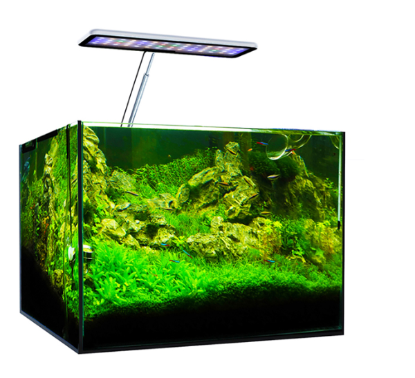 MicMol Aqua CC Aquarium LED Li - đánh giá và giá Aqua Marine Tank