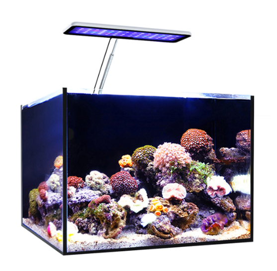 MicMol Aqua CC Aquarium LED Li - đánh giá và giá Aqua Marine Tank