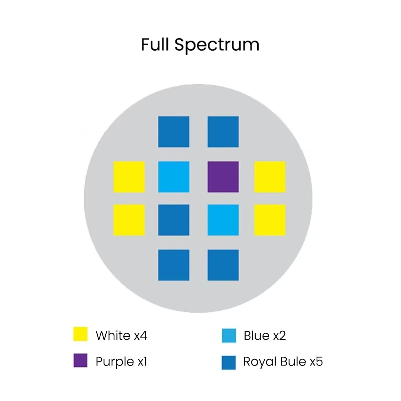 Spectra Aqua Knight V2 36W Ful - đánh giá và giá Aqua Marine Tank
