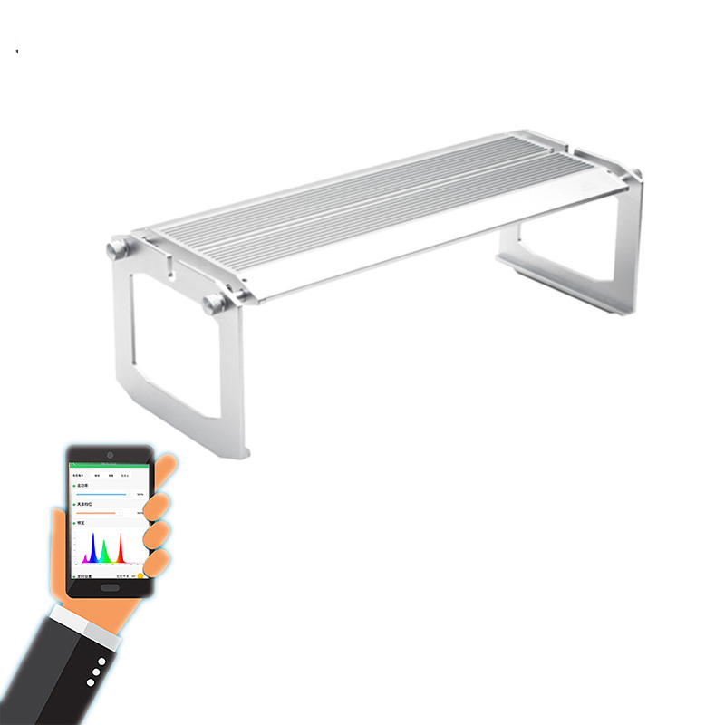 WEEK AQUA Aquarium Led Vivid L - đánh giá và giá Aqua Marine Tank