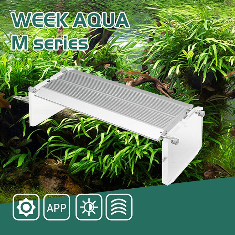 WEEK AQUA Aquarium Led Vivid L - đánh giá và giá Aqua Marine Tank