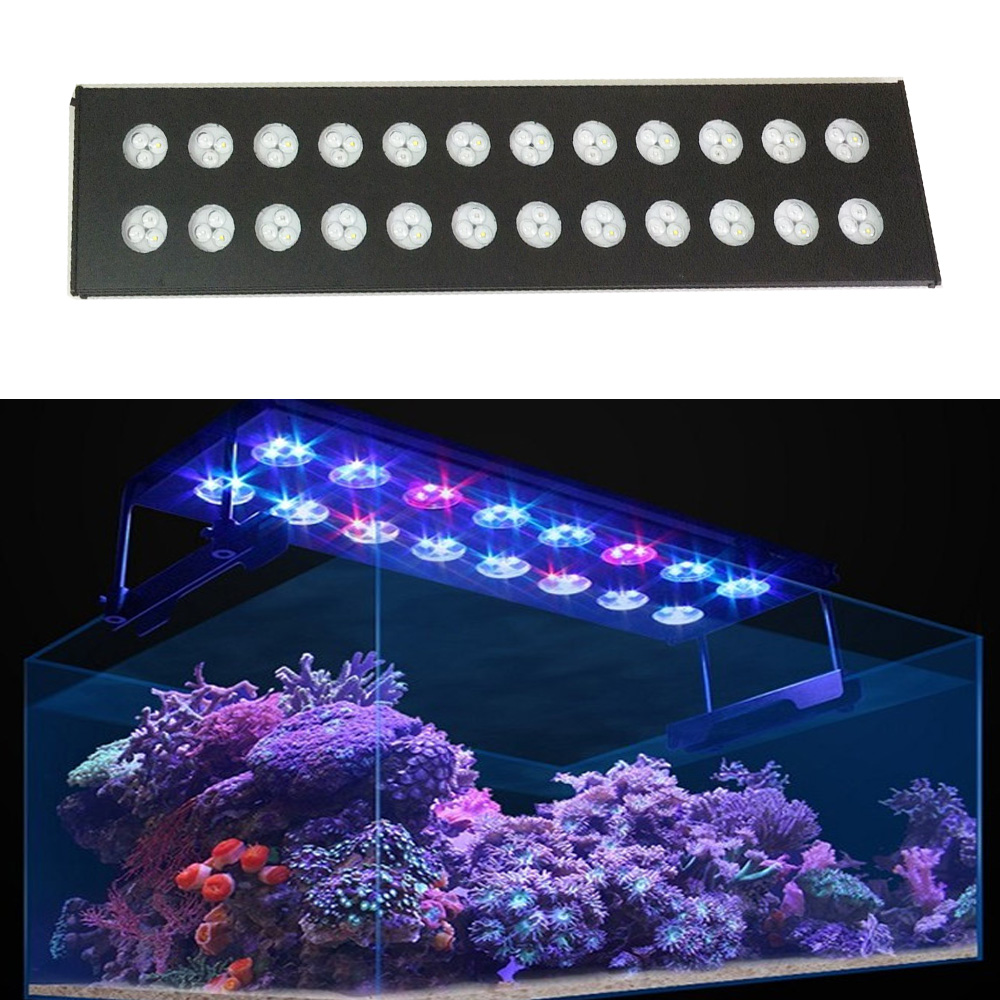 Máy Hút Sữa Spectra Aqua Helio - đánh giá và giá Aqua Marine Tank