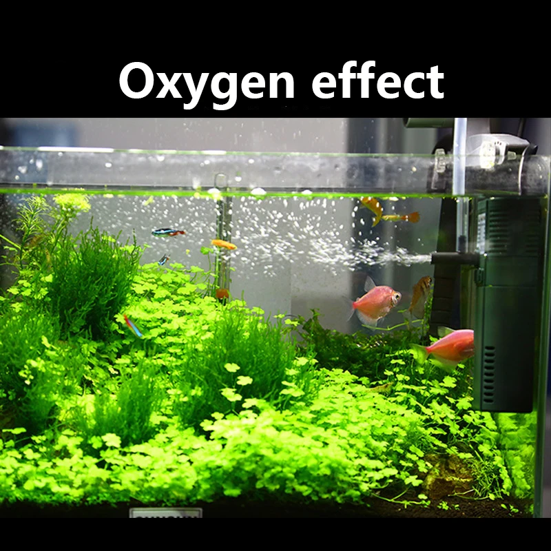 SUNSUN Nano Mini Xây Dựng Nội  - đánh giá và giá Aquarium Blue Marine Reef 60